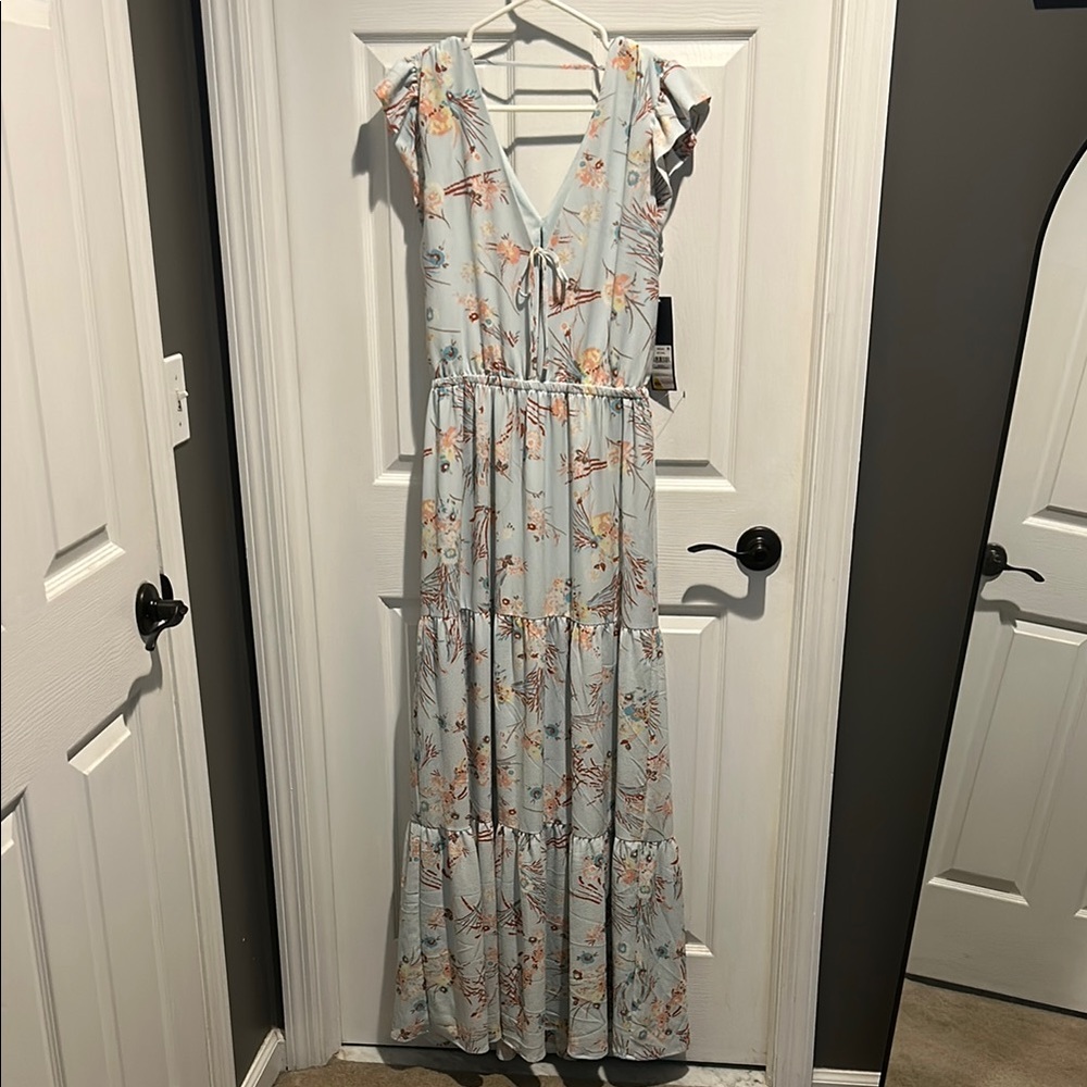 NWT Rachel Roy Floral Blue Maxi Dress
